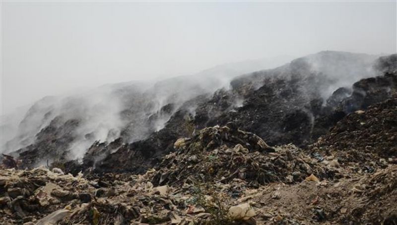 Ludhiana Municipal Corporation fined 100 crores by NGT