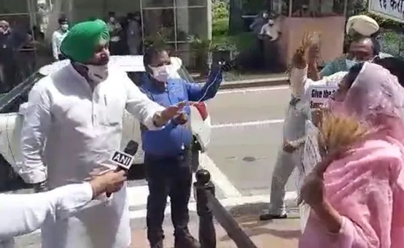 Ravneet Bittu, Harsimrat Badal 