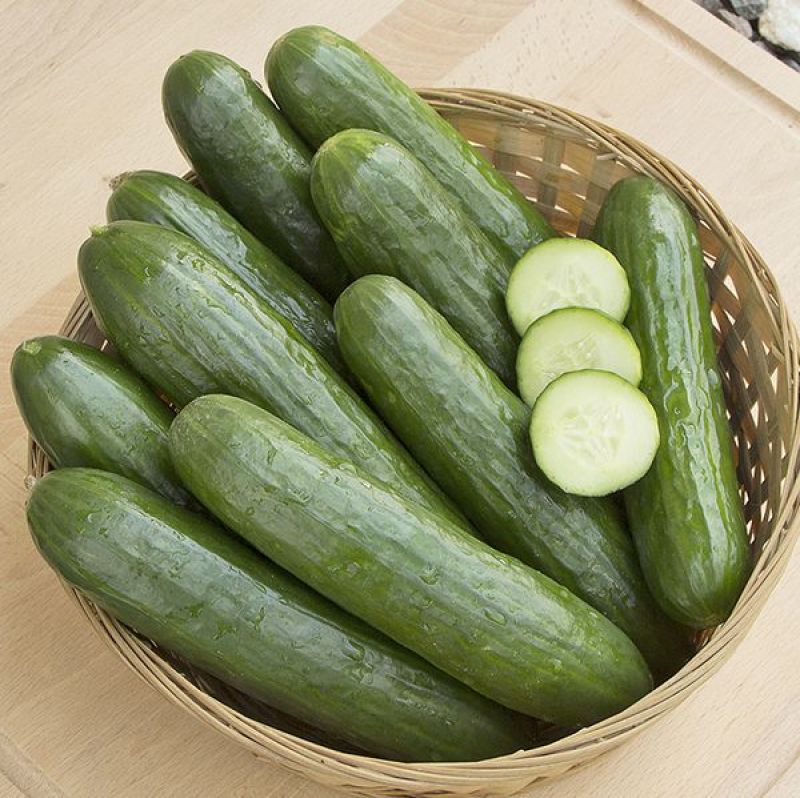  Cucumber