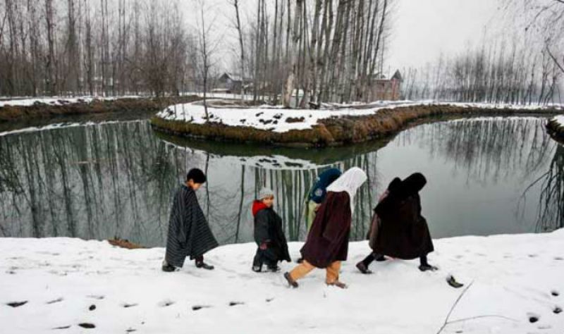 Kashmir Cold