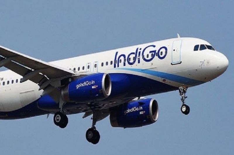Indigo Airline