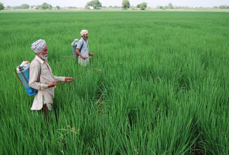 Farmers Farmers