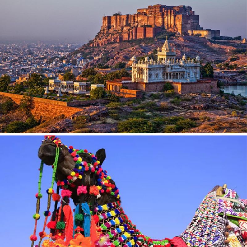 Jodhpur