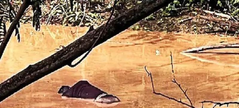 Body found from Sukhna Lake, hospital for identification