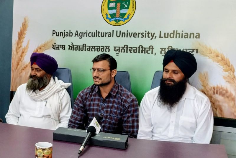 Samrala Farmers Share Their Experiences During PAU Live Programme  Samrala Farmers Share Their Experiences During PAU Live Programme