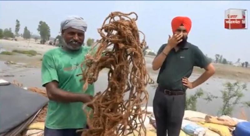 Jalandhar floods: Village Mandala breach plugged