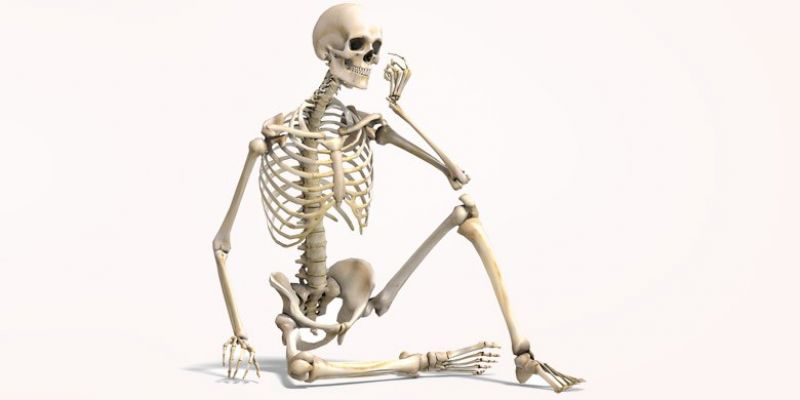 Bones