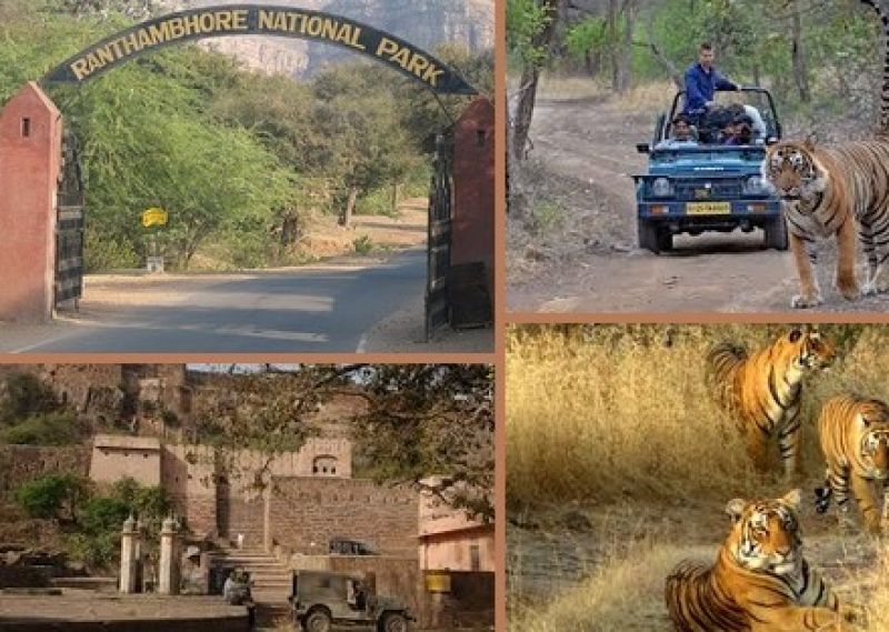Ranthambore National Park