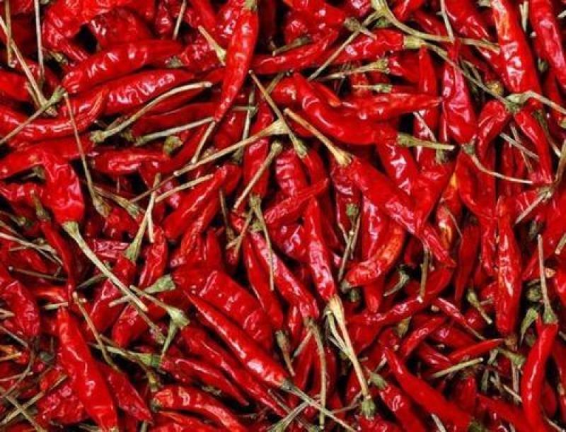 Red Chilli