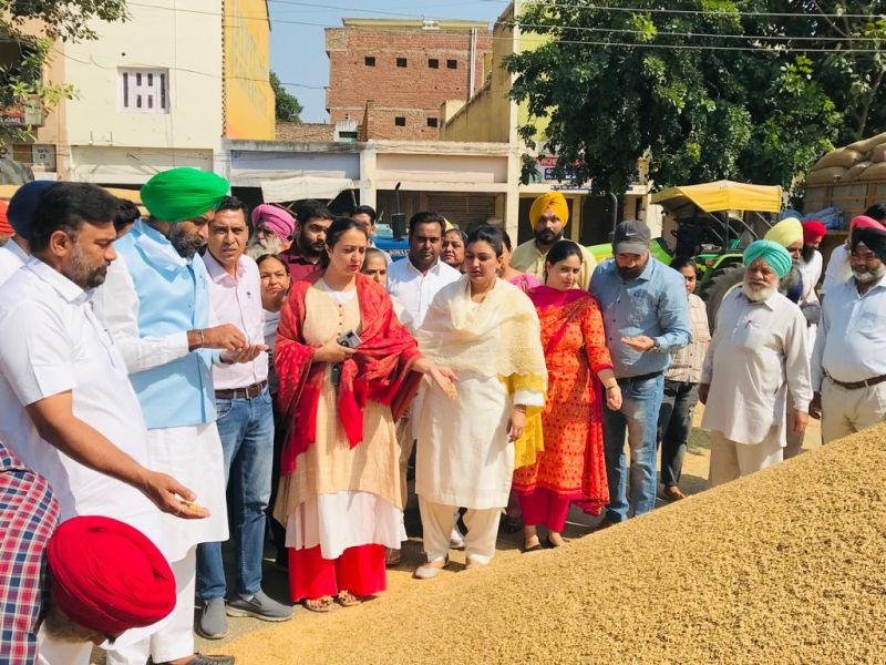 AAP leaders visited mandis in the state