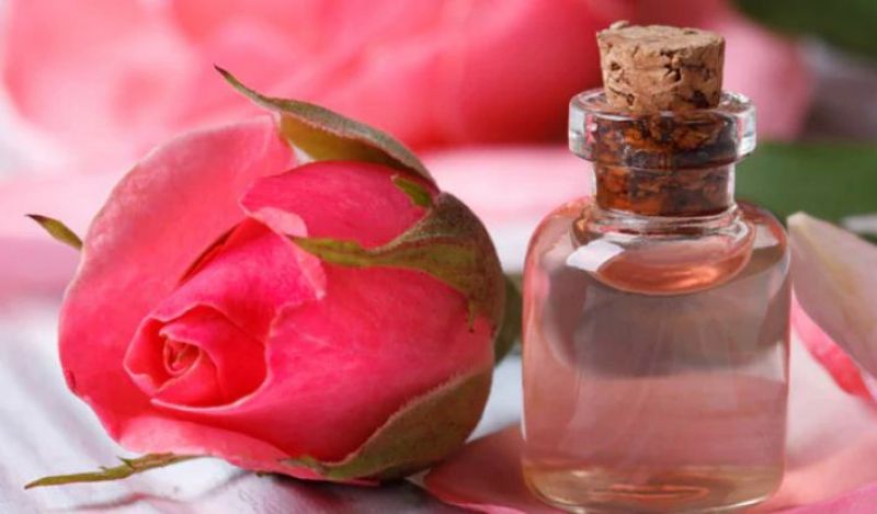 Rose Water Rose Water