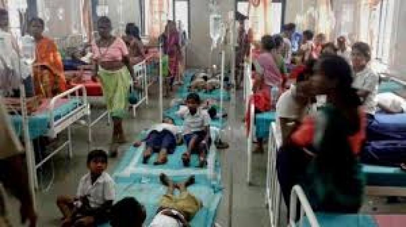 up number of encephalitis patients increased in kushinagar