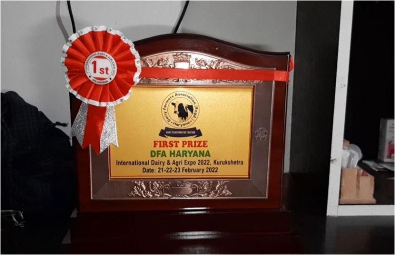 Haryana’s ‘Reshma’ record, the country’s No. 1 buffalo 