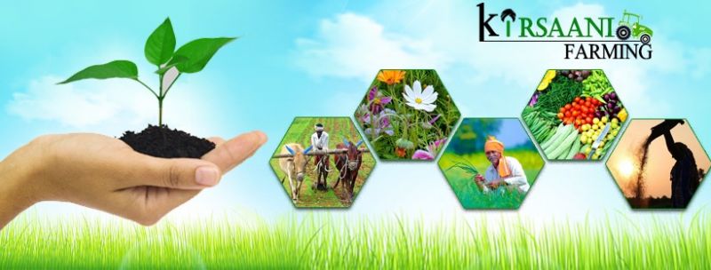 Kirsaani Farming