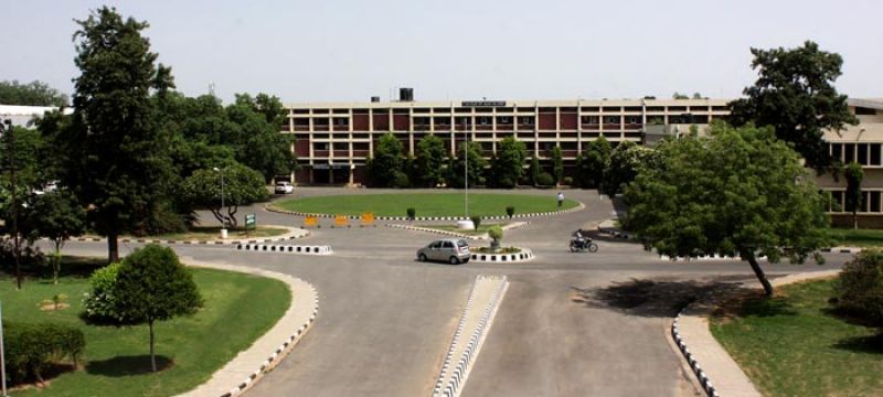 punjab agricultural university