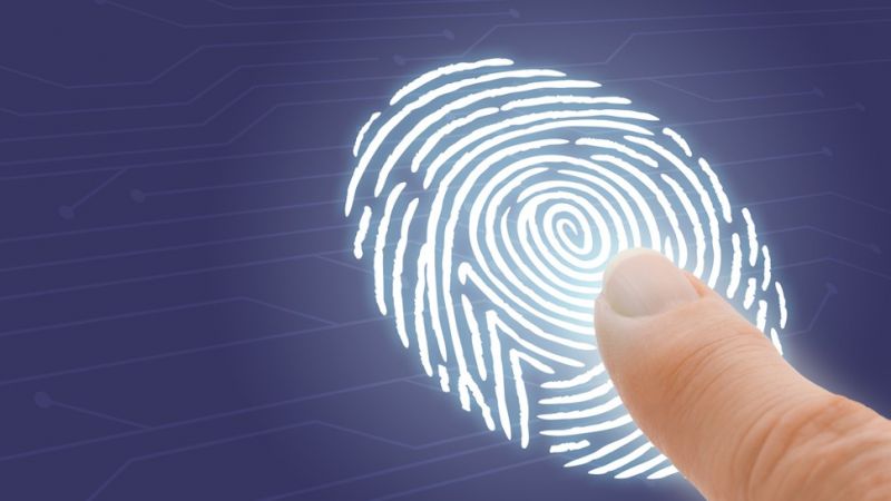 Fingerprint Fingerprint