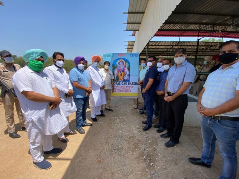  Health Minister Sidhu inaugurates Punjab's first modern Gaushala