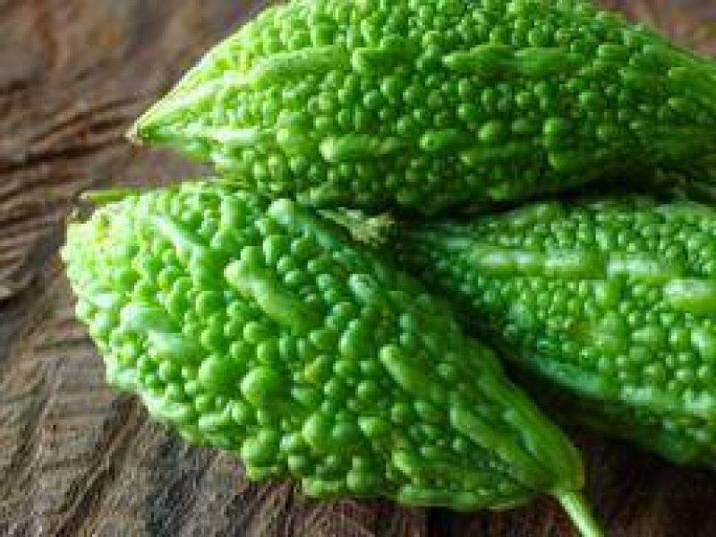  Bitter gourd 