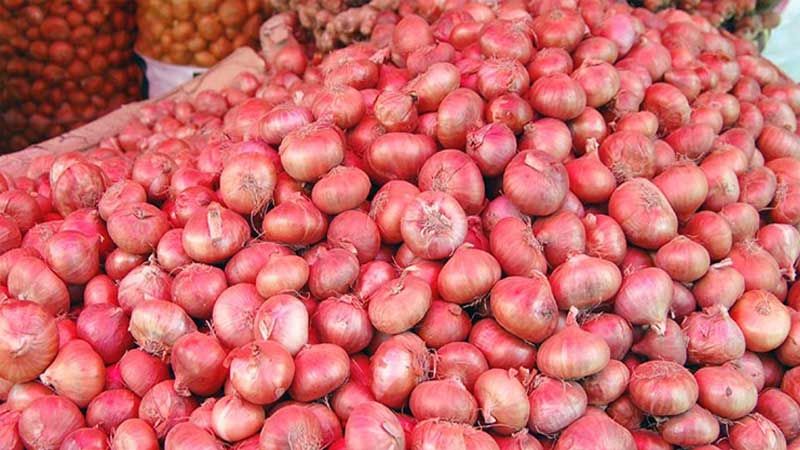 Onion Price 