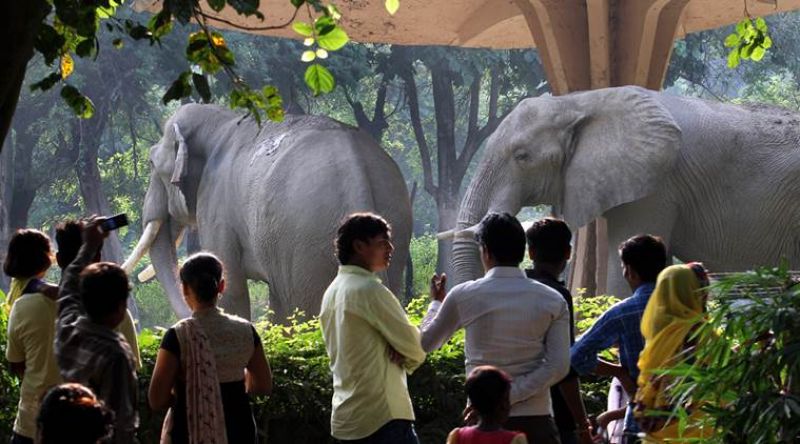 Zoo Zoo