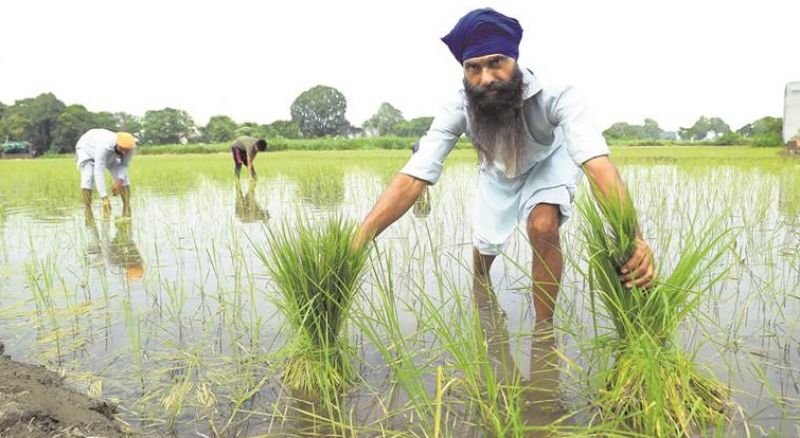 Punjab Farming