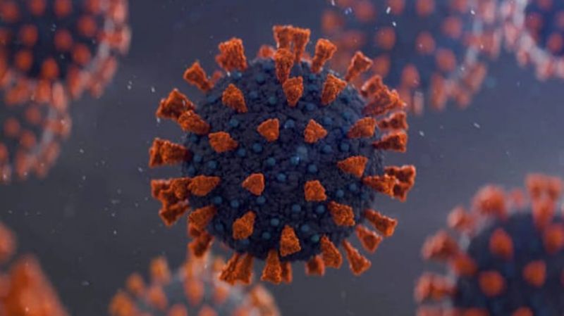 Coronavirus Coronavirus