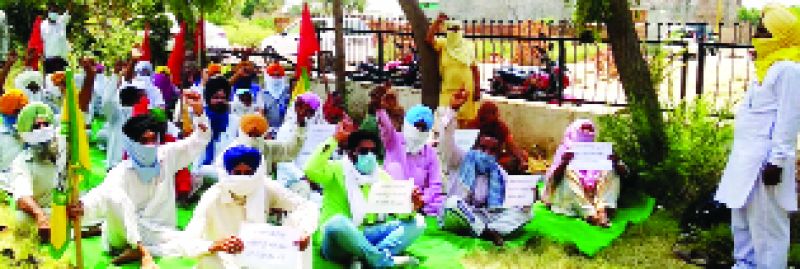  to ਡਿਪਟੀ ਕਮਿਸ਼ਨਰ ਦੇ ਦਫ਼ਤਰ ਦੇ ਬਾਹਰ ਧਰਨਾ ਲਗਾ ਕੇ ਬੈਠੇ ਖੇਤ ਮਜ਼ਦੂਰ ਅਤੇ ਕਿਸਾਨ। (ਸੰਜੂ)