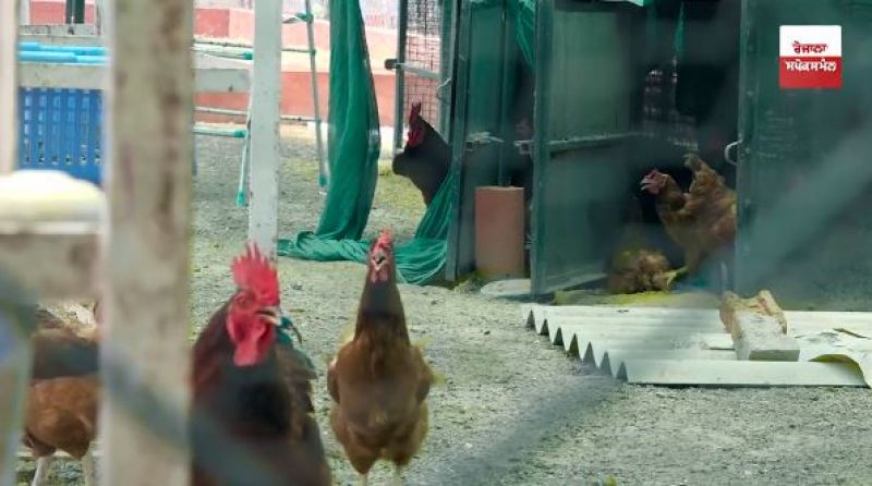 Khetan De Putt Interview