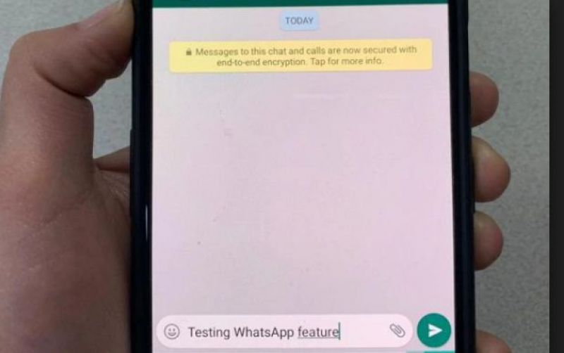 Whatsapp Mic Feature