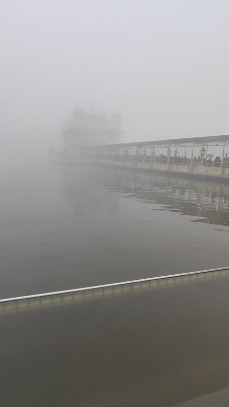 Darbar sahib Fog News in punjabi 