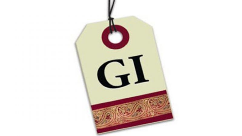 GI 