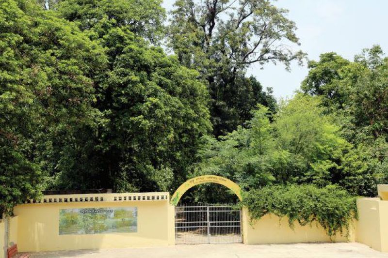 SGGS College launches 'Bird Watching Society' 