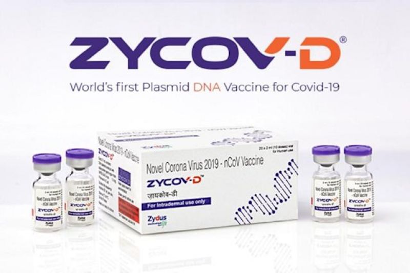 India approves Zydus Cadila's Covid-19 vaccine for emergency