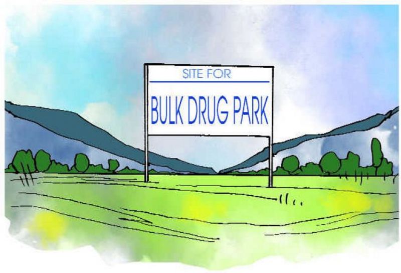 Bulk Drug Parks
