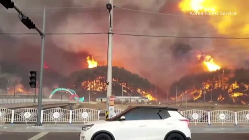 A wildfire broke out near a nuclear plant in South Korean county of Uljin