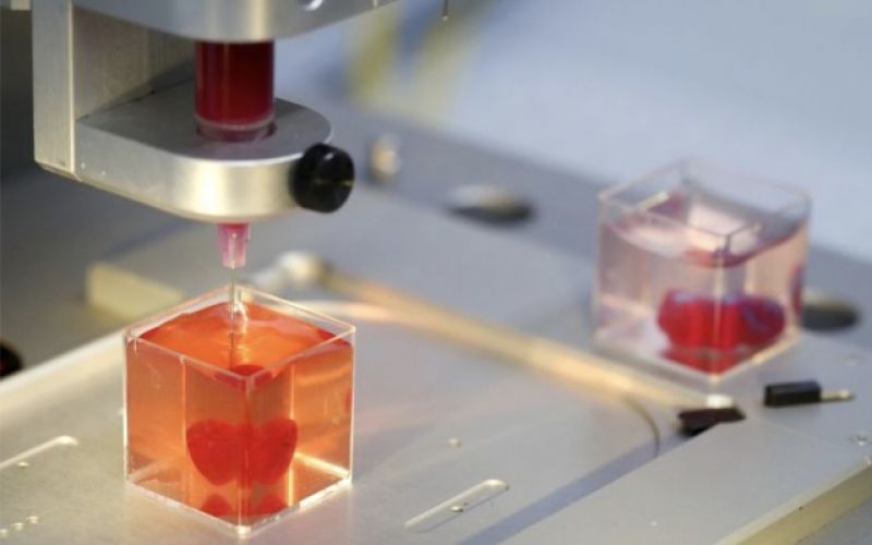 3D printed heart