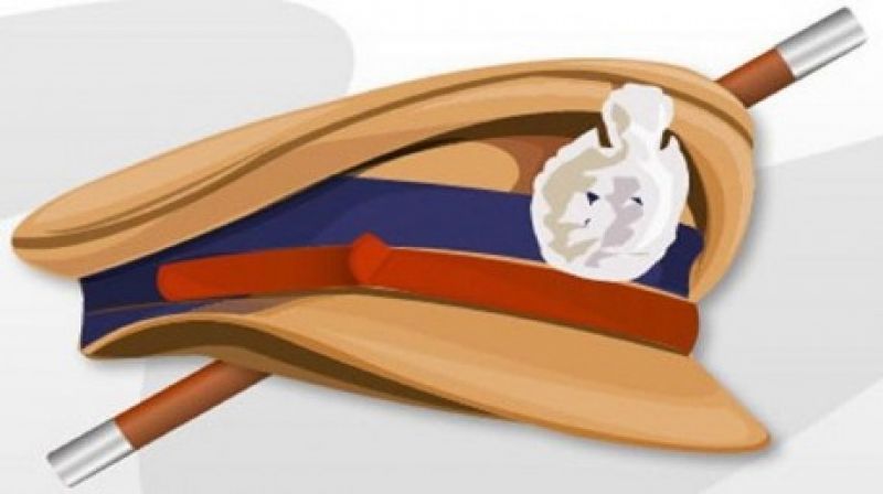 Fake Inspector Fake Inspector