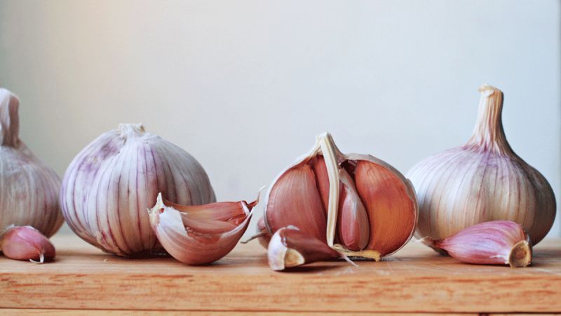 Garlic Benefits