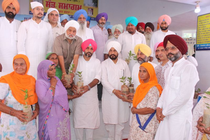 Channi distribute plants Channi distribute plants