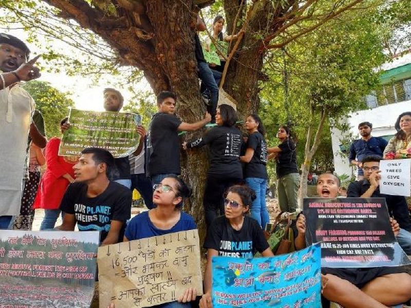 trees cutting protest peoples