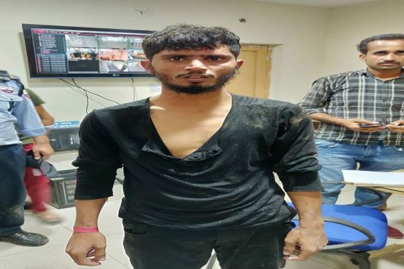 Man jumps inside lion enclosure in Delhi zoo; escapes unhurt