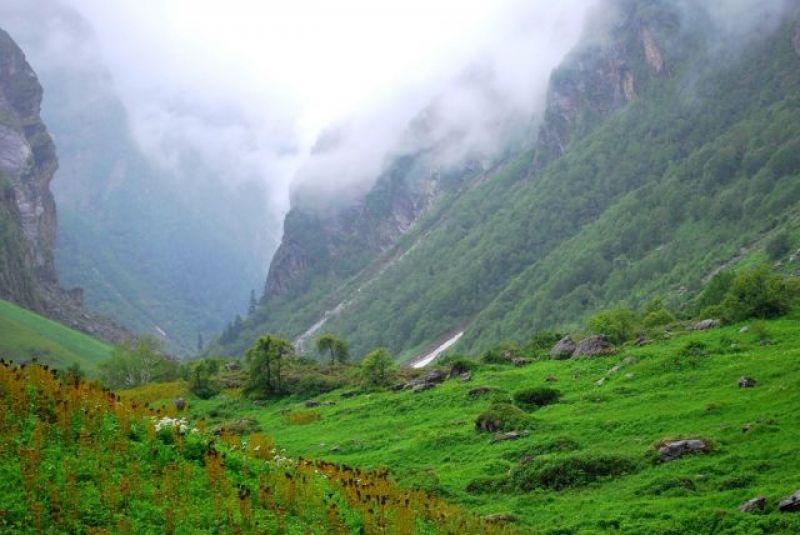 Natural beauty of Himalaya Natural beauty of Himalaya