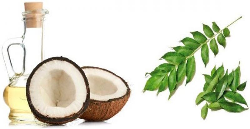 curry leave and cocount