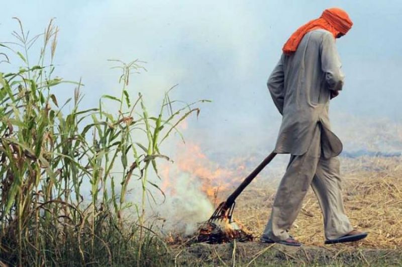 5 Rs.Capsule Will Solve Stubble Burning Problem 