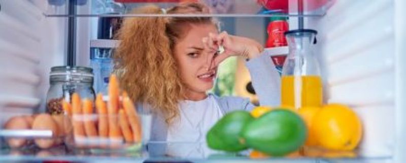 Fridge Smell