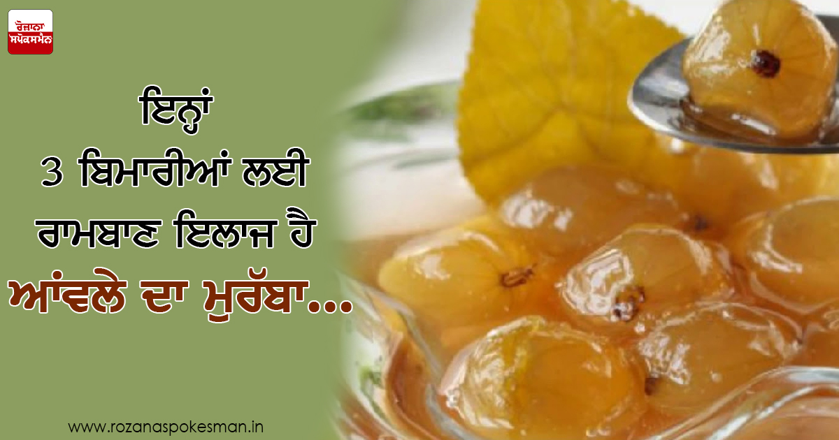 ਆਂਵਲਾ ਖ਼ਰਾਬ ਕੋਲੈਸਟ੍ਰਾਲ ਨੂੰ ਖ਼ਤਮ ਕਰ ਕੇ ਨਵੇਂ ਕੋਲੈਸਟ੍ਰਾਲ ਬਣਾਉਣ ਦਾ ਕੰਮ ਕਰਦਾ ਹੈ। ਆਂਵਲਾ ਖ਼ਰਾਬ ਕੋਲੈਸਟ੍ਰਾਲ ਨੂੰ ਖ਼ਤਮ ਕਰ ਕੇ ਨਵੇਂ ਕੋਲੈਸਟ੍ਰਾਲ ਬਣਾਉਣ ਦਾ ਕੰਮ ਕਰਦਾ ਹੈ।