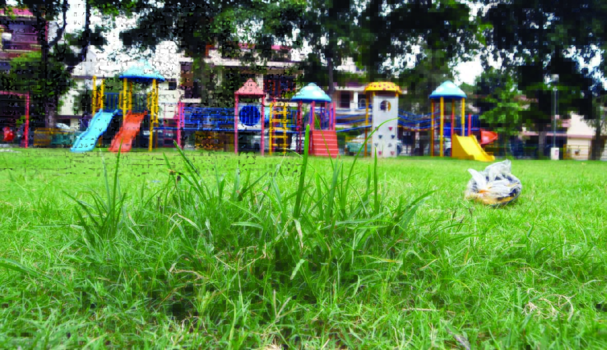 Park