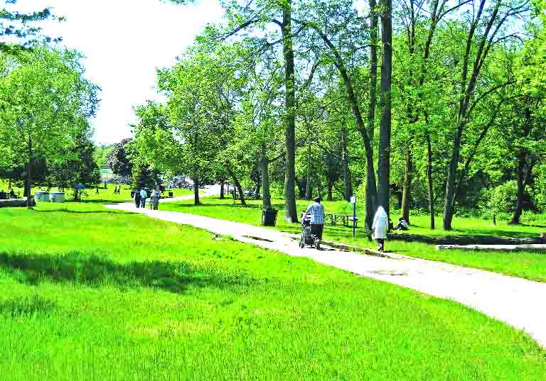 Park Park