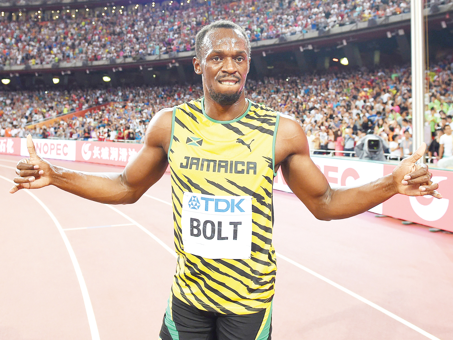 Bolt Bolt