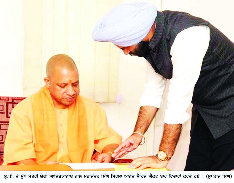 Yogi